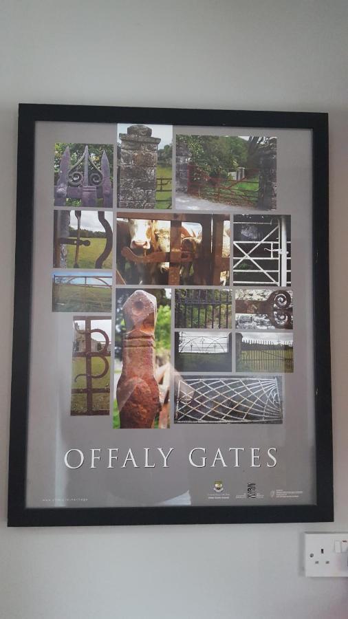 Gormanstown House Apt, The Island ทัลลามอร์ ภายนอก รูปภาพ