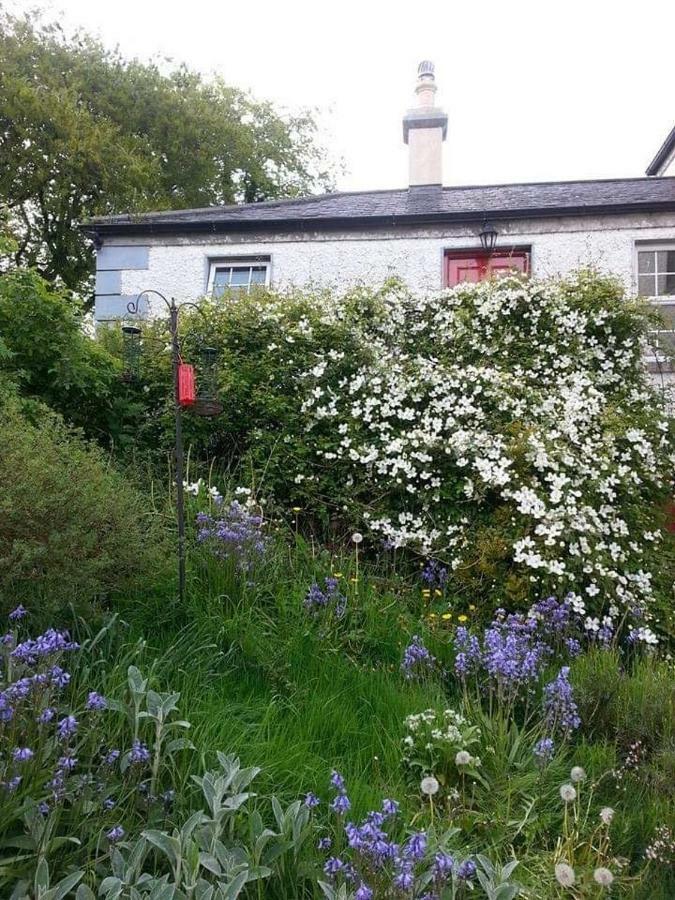Gormanstown House Apt, The Island ทัลลามอร์ ภายนอก รูปภาพ